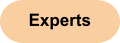 ../_images/experts_tag.png